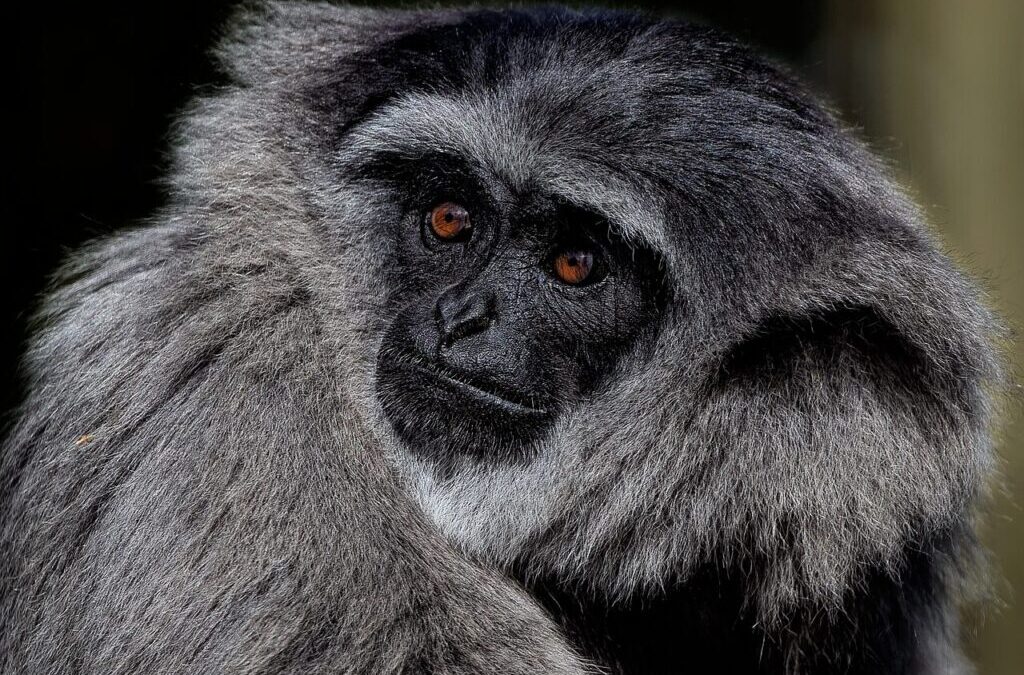 Water Conservation Programs | Saving Water In The Great Basin:…