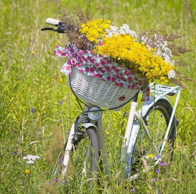 Water Cycle Reclamation Benefits / Saving Water: A Utah Story…