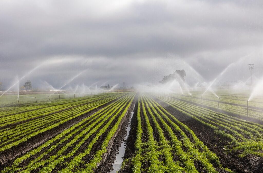 Water-efficient Irrigation Techniques | The Great Basin: A Thirsty Land…