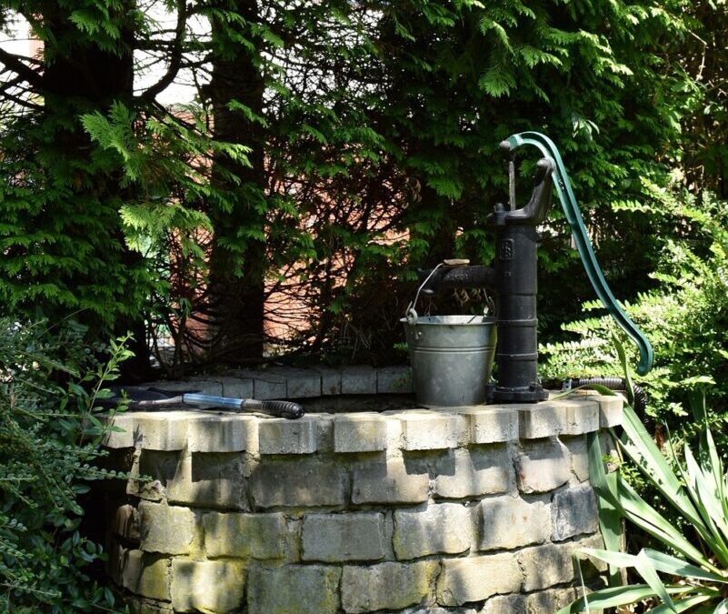 Water-efficient Irrigation Techniques » The Great Salt Lake: A Lake…