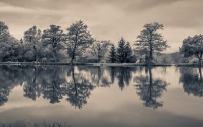 Water Reclamation | The Laguna Salada’s Water Crisis: A Story…