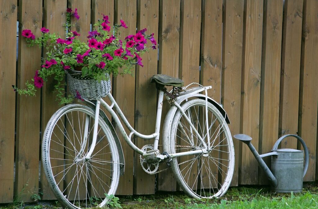 How Can Moving The Water Correct Years Of Drought? »…