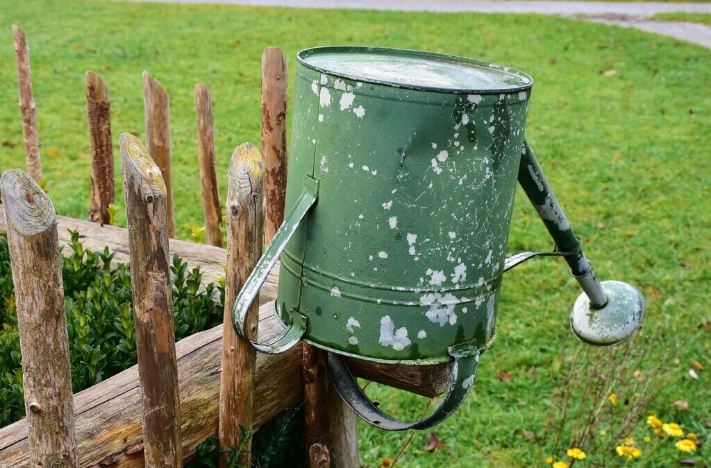 How Can Moving The Water Correct Years Of Drought? /…