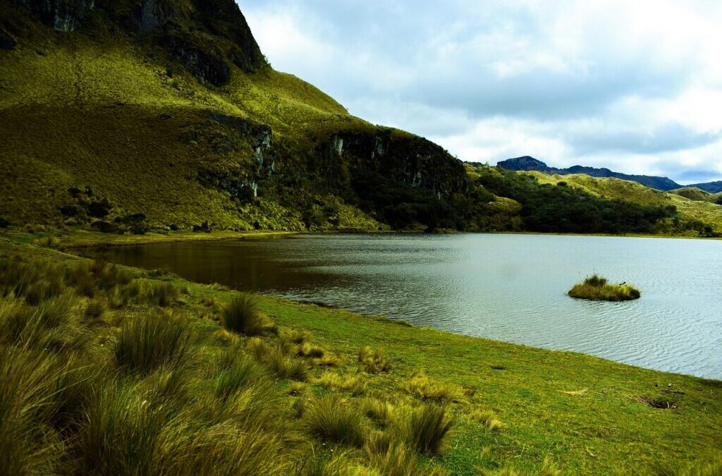 Laguna Salada Mexicali » Laguna Salada: A Sea Of Change…