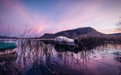 Laguna Salada / The Laguna Salada: A Story Of Water,…