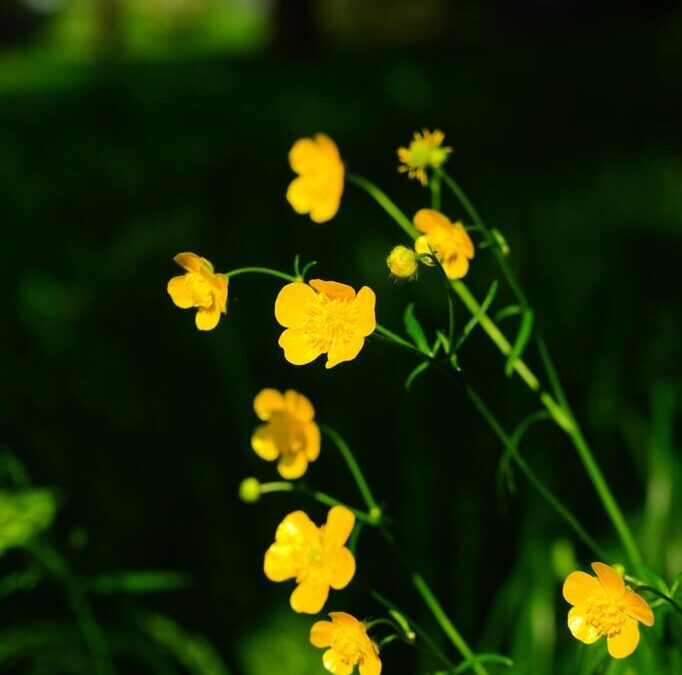 Summarizing The Key Findings Of The UNEP Foresight Brief On…