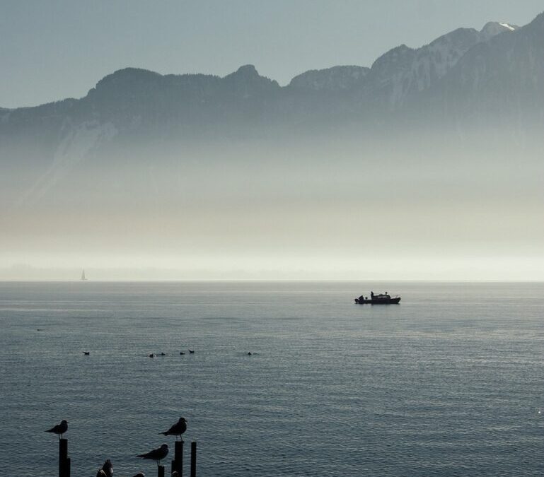 Summarizing The Key Findings Of The UNEP Foresight Brief On…