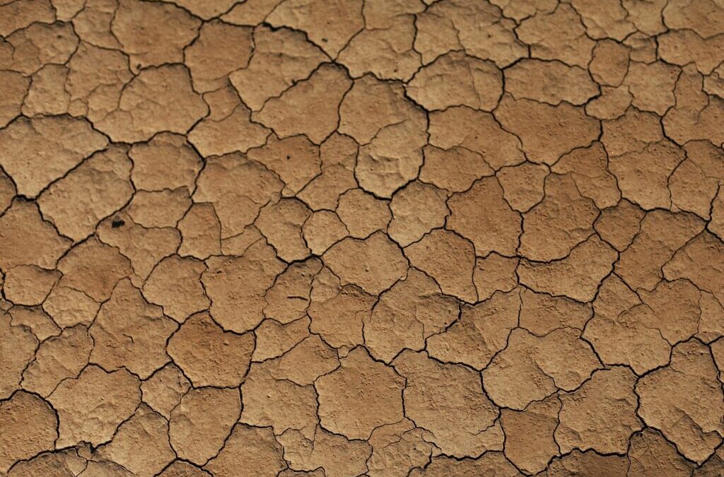 The Great Basin Desert ~ The Laguna Salada: A Desert…