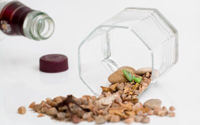 Active Climate Rescue Initiative For Sustainable Solutions ~ Saving Our…