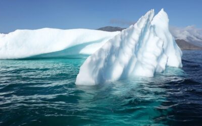 Active Climate Rescue Initiative Volunteer Programs / Dive Into Action:…