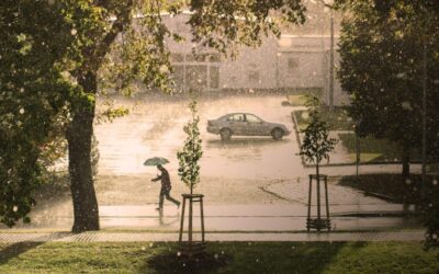 Active Climate Rescue Initiative » Laguna Salada: A Desert Oasis…