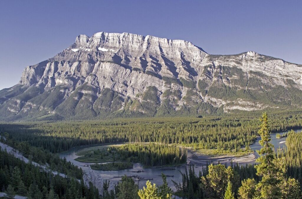 Active Climate Rescue Initiative’s Impact On Global Warming / Saving…