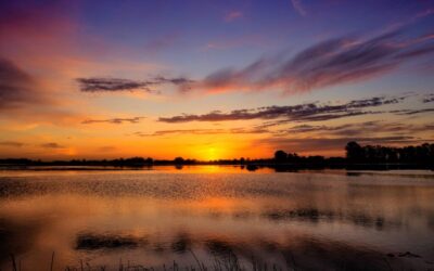 Benefits Of Water Reclamation In Laguna Salada – Laguna Salada:…