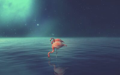 Benefits Of Water Reclamation In Laguna Salada » Laguna Salada:…