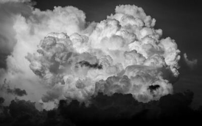 Climate Action Initiatives / Saving Our Planet, One Step At…