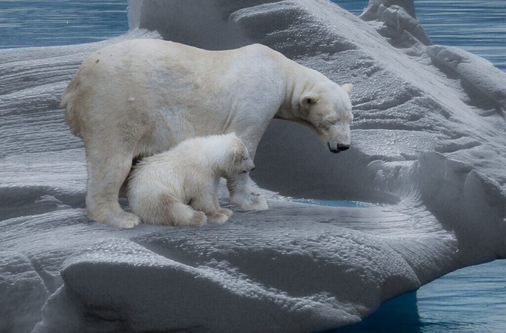 Climate Change And Its Effects On The Lake’s Water Levels…