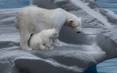 Climate Change And Its Effects On The Lake’s Water Levels…