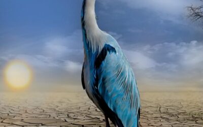 Climate Change And Its Effects On The Lake’s Water Levels…