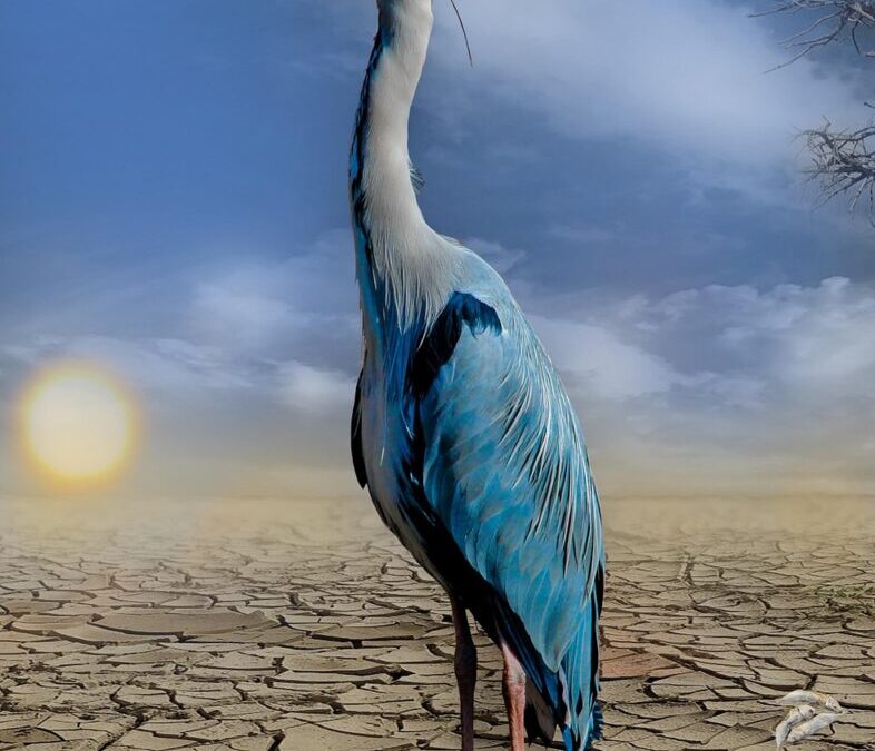 Climate Change And Its Effects On The Lake’s Water Levels…