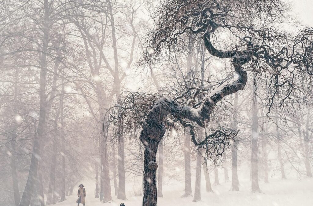 Climate Resilience Strategies For The Great Basin: The Laguna Salada:…