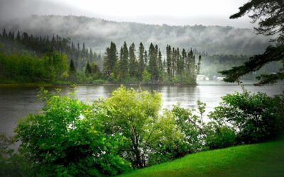 Climate Resilience ~ The Laguna Salada: A Desert Oasis Facing…