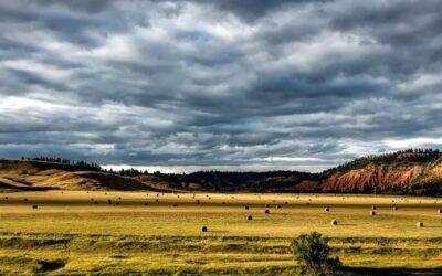 Colorado River Water Cycle – The Mystery Of The Disappearing…