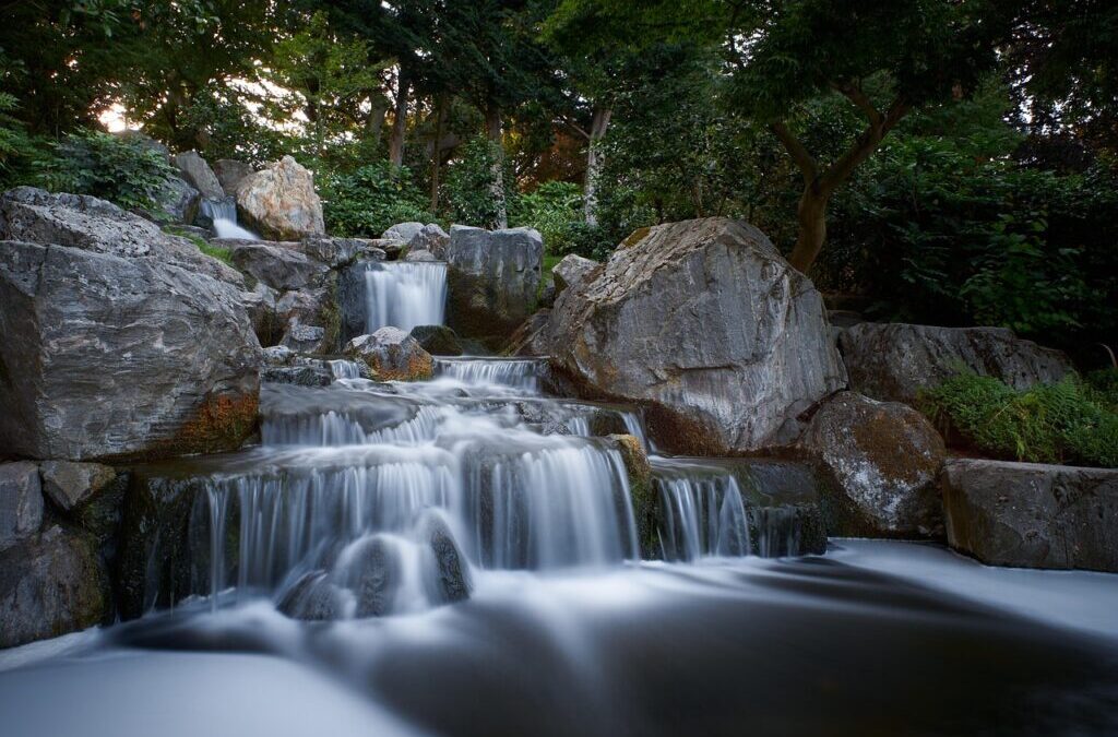 Colorado River Water Cycle ~ The Laguna Salada: A Watery…