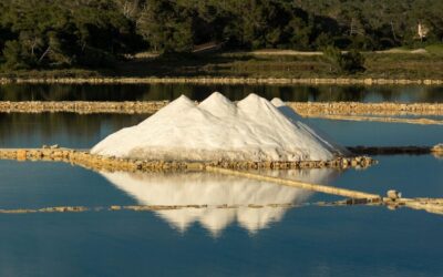 Community Involvement In Great Salt Lake Water Levels / Utah’s…