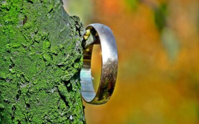 Community Involvement In Watershed Conservation: Saving Our Water: How Communities…