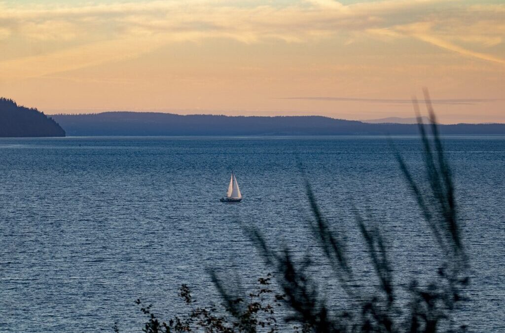 Current State Of The Lake And The Impact Of Water…