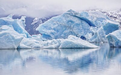 Current State Of The Lake And The Impact Of Water…