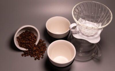 Drip Irrigation Solutions For Gardens: The Great Salt Lake: A…