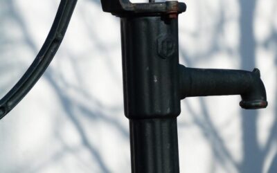 Drip Irrigation Solutions For Gardens: The Great Basin’s Thirsty Story:…