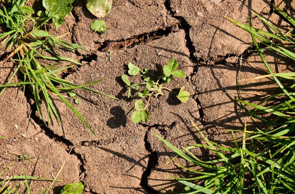 Effective Strategies By Active Climate Rescue Initiative ~ Saving Our…