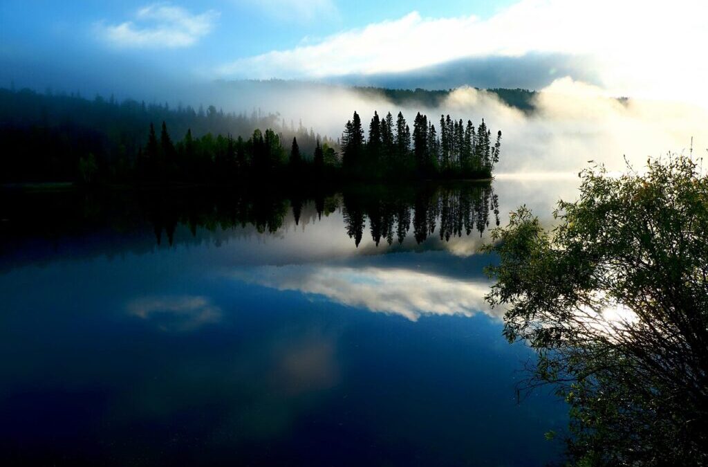 Effects On Local Wildlife And Ecosystems | The Great Salt…