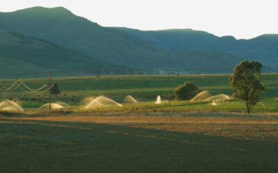 Efficient Irrigation Systems For Farms | The Great Basin: A…