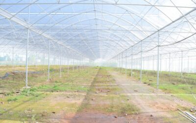 Efficient Irrigation Systems For Farms » The Great Basin: A…