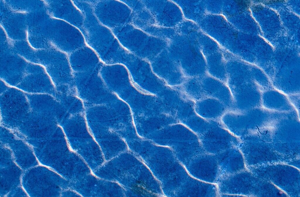 Efficient Water Cycle Reclamation – The Laguna Salada’s Water Story:…