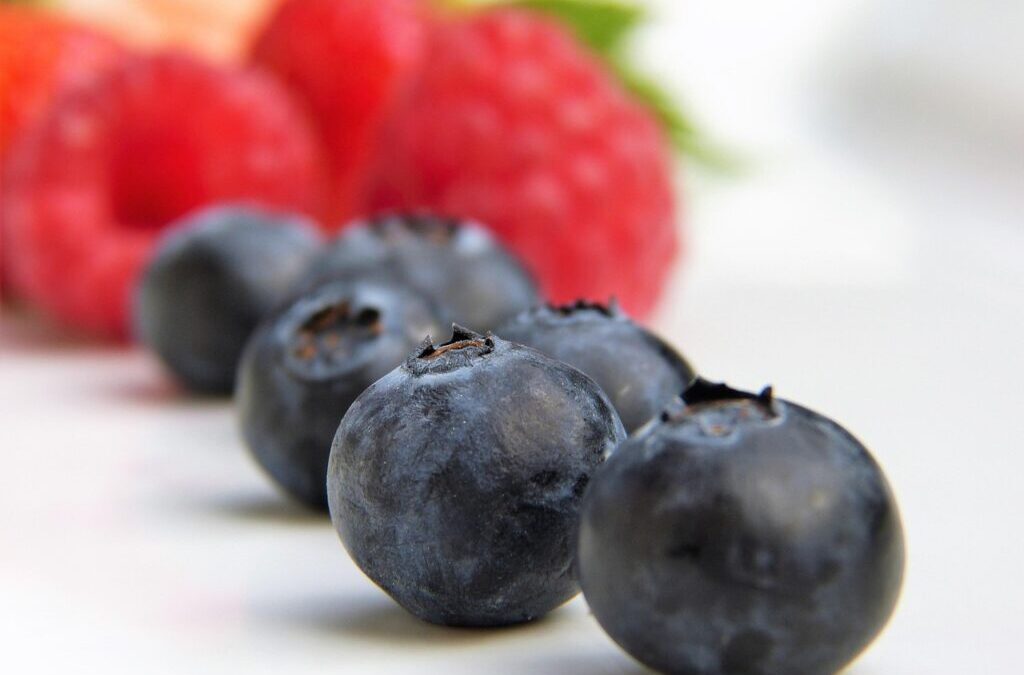 Energy-efficient Water Moving Systems – Nature’s Water Works: How Plants,…