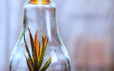 Environmental And Economic Impacts – The Great Salt Lake: A…