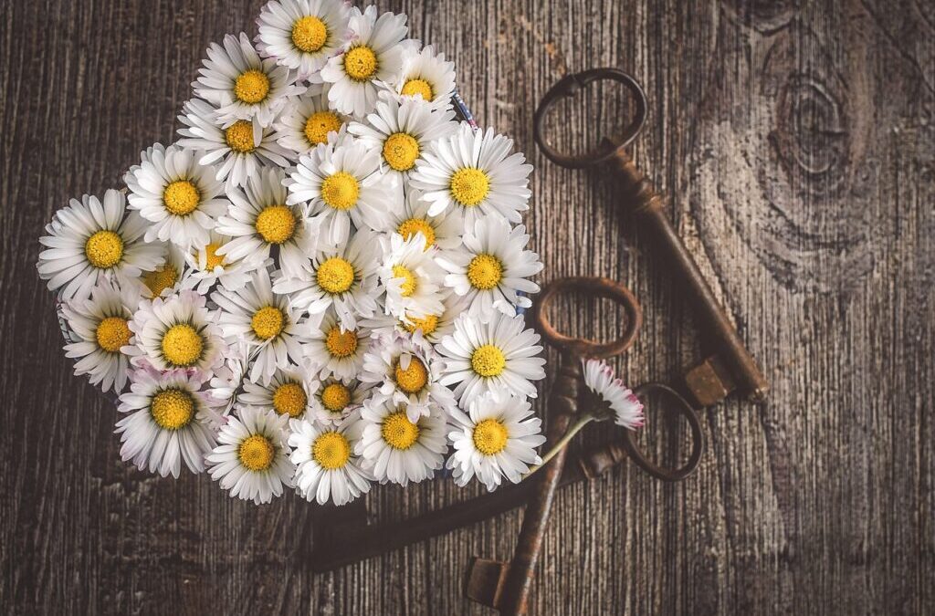 Great Basin – Water Cycle Solutions / The Great Basin:…