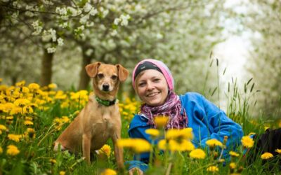 “Great Basin Agricultural Water Use” – 💧 The Great Basin:…