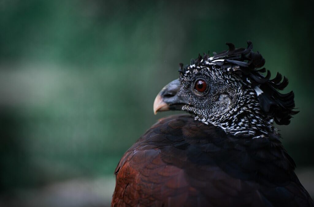 “Great Basin Climate Change Impact”: The Great Basin: A Thirsty…