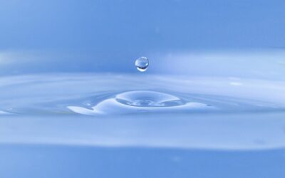 “Great Basin Ecological Research” | The Great Basin: A Thirsty…