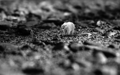 “Great Basin Long-term Water Plans” » 💦 The Great Basin:…