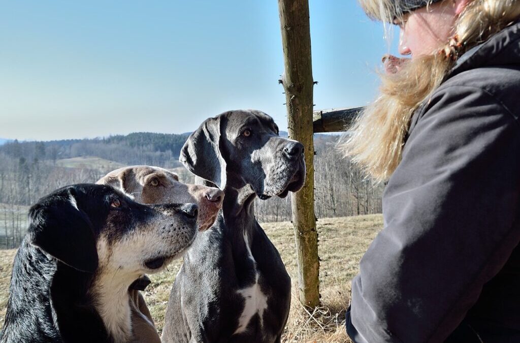 Great Basin Water Cycle | The Laguna Salada: A Desert…