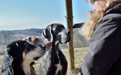 Great Basin Water Cycle | The Laguna Salada: A Desert…