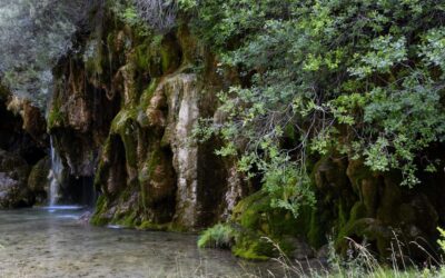 “Great Basin Water Rights Issues” » The Great Basin: A…