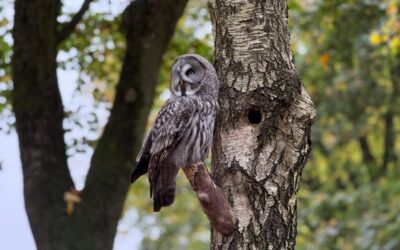 “Great Basin Water Rights Issues” | 💧 The Great Basin:…