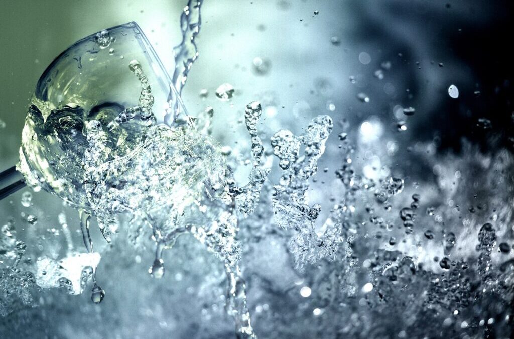 “Great Salt Lake Community Involvement” | The Great Salt Lake:…